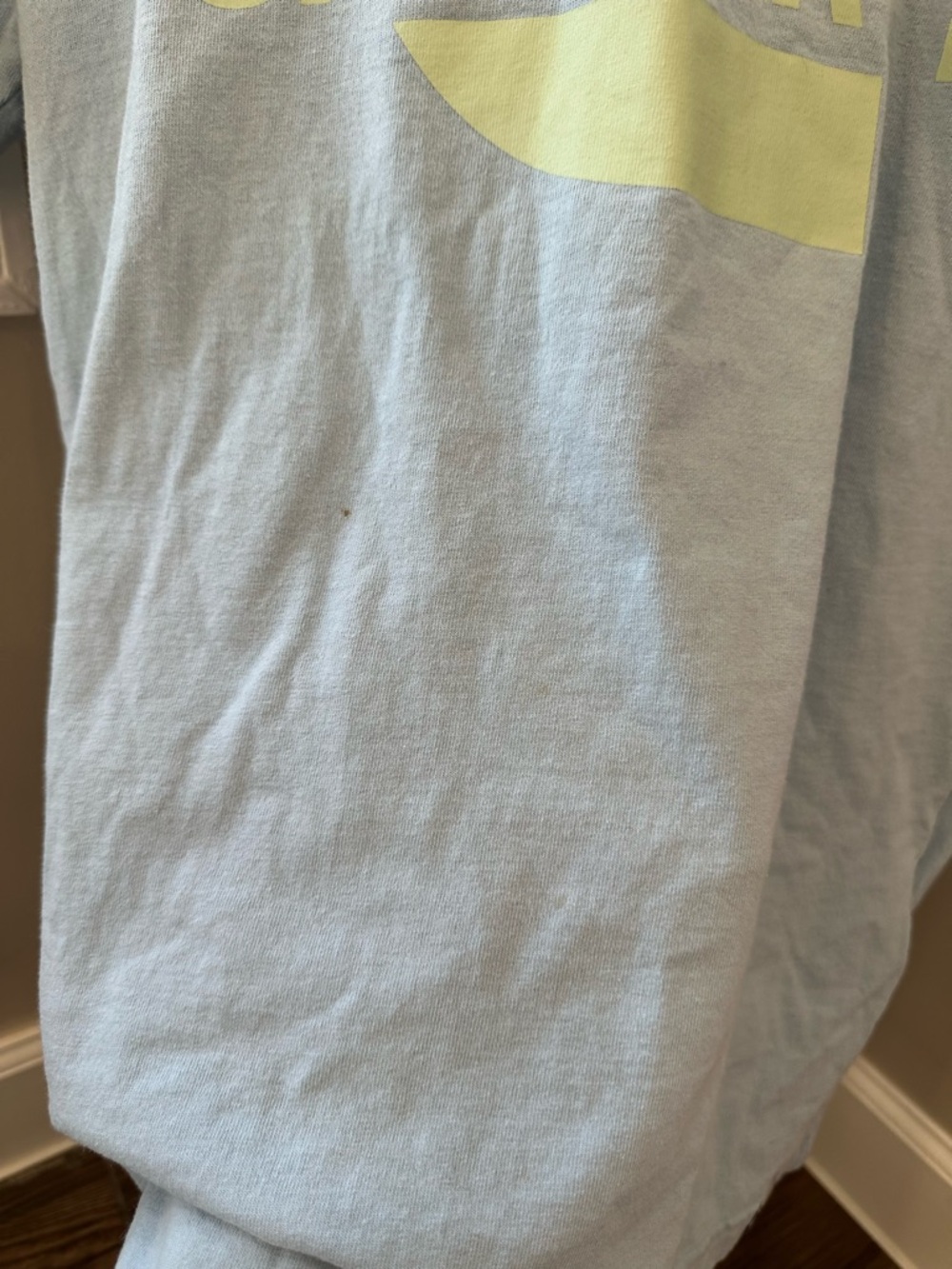 Carhartt Short Sleeve Logo Tee in Light Blue with White and Lime Graphic T-Shirt - Picture 14 of 16